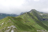 p1120790.jpg