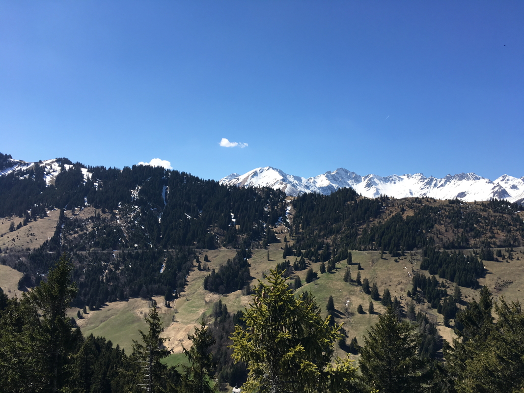 img_0586.jpg