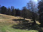 img_0584.jpg