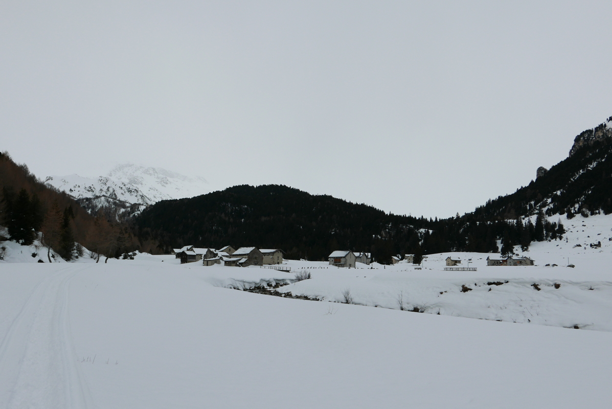 p1110693.jpg