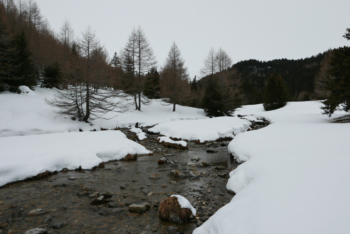 p1110694.jpg