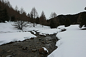 p1110694.jpg