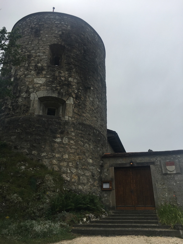 img_0769.jpg