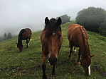 img_0756.jpg