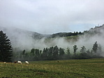 img_0757.jpg
