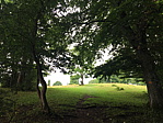 img_0761.jpg