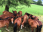 img_0765.jpg