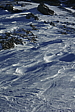 p1110305.jpg