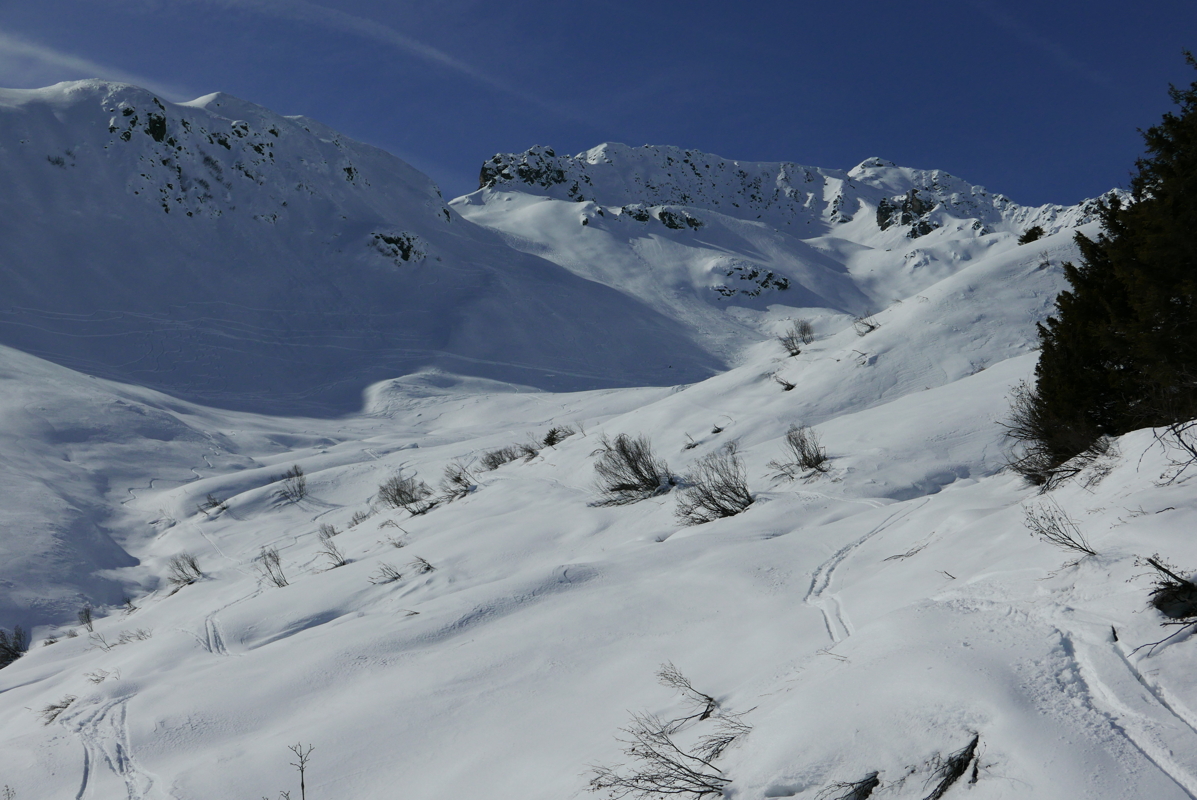 p1110434.jpg