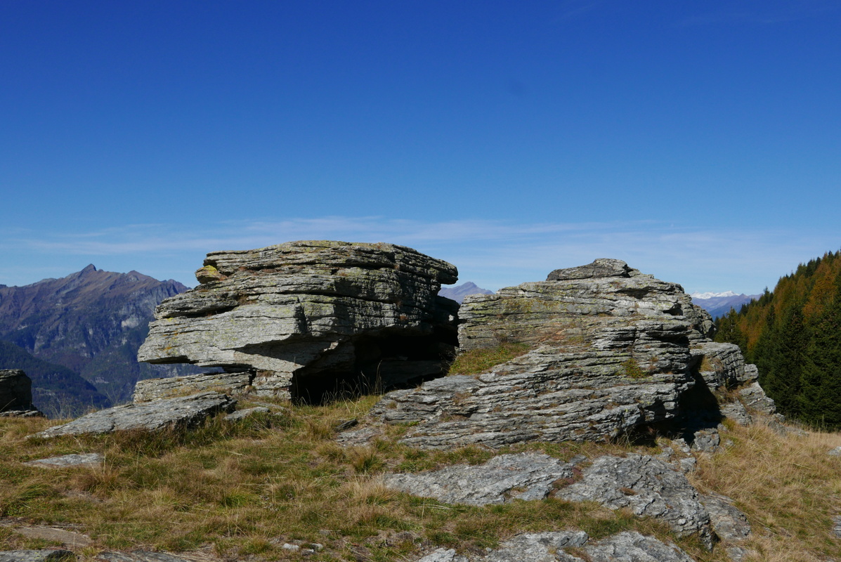 p1130941.jpg