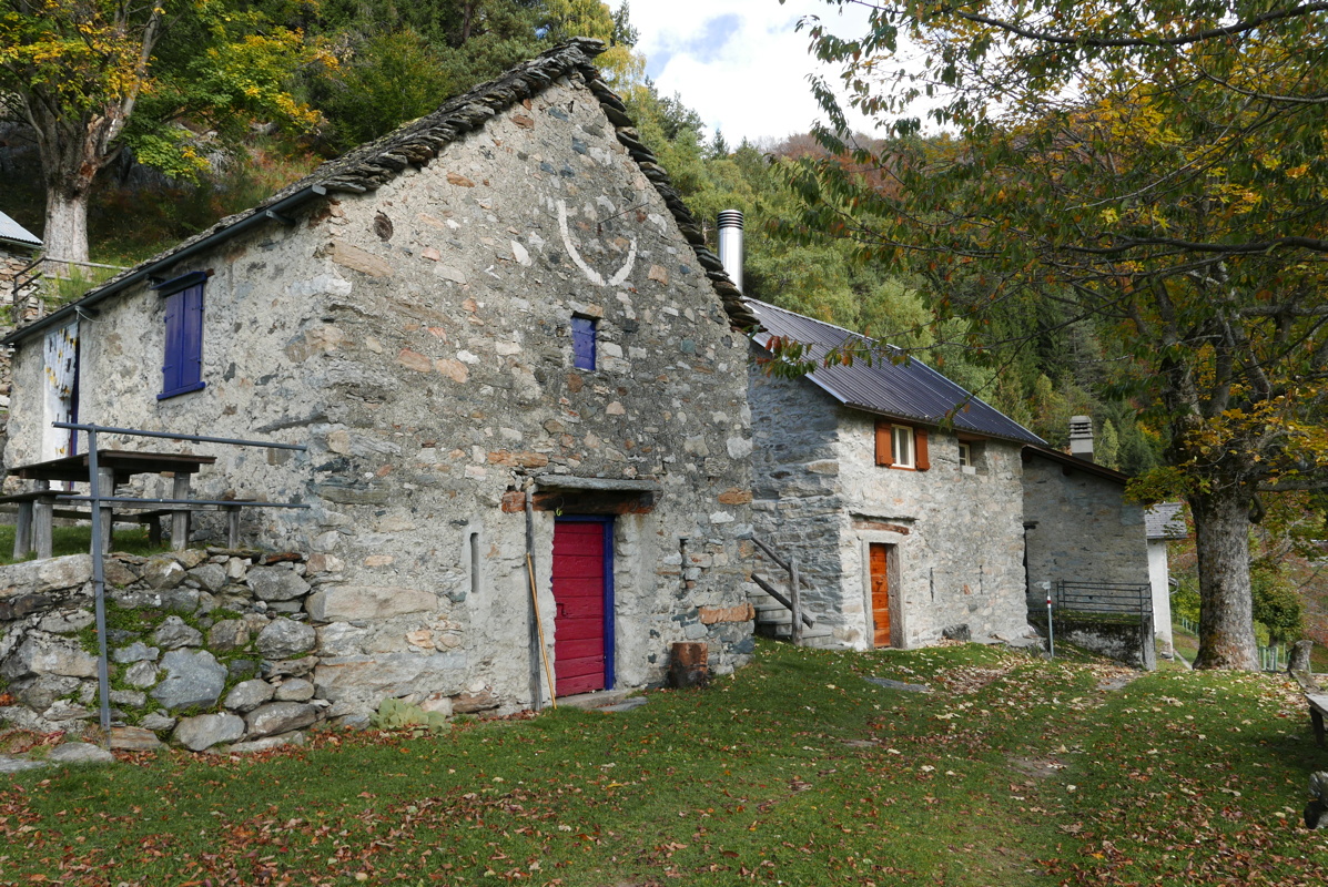 p1130980.jpg