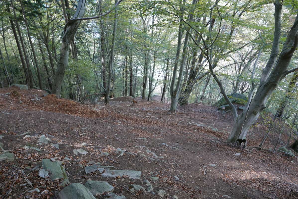 p1130981.jpg