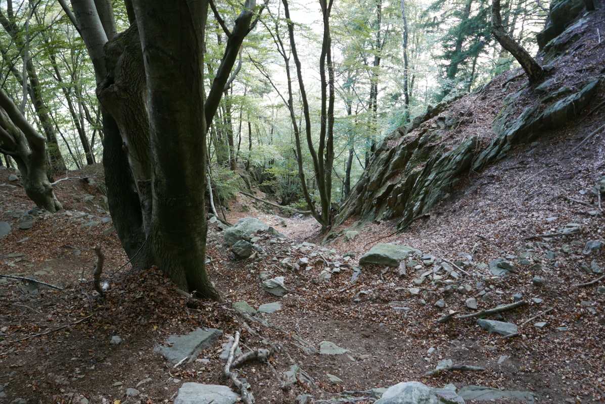 p1130982.jpg
