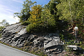 p1130955.jpg