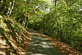 p1130963.jpg