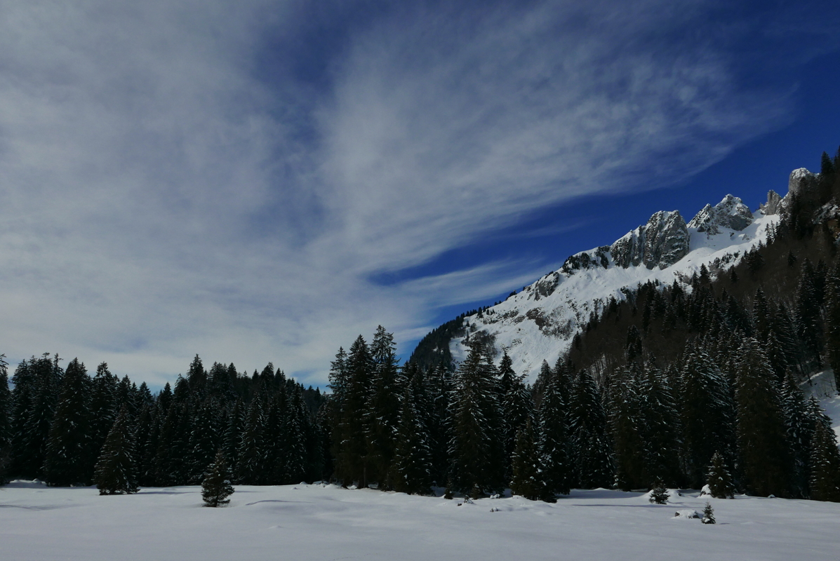 p1110386.jpg