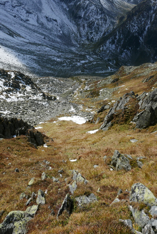 p1130875.jpg