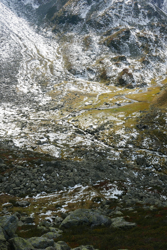 p1130877.jpg