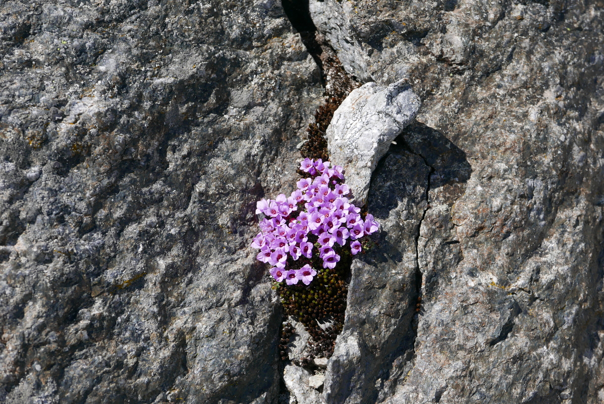 p1120618.jpg