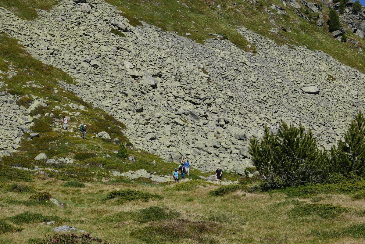 p1120631.jpg