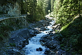 p1120561.jpg
