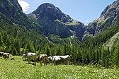 p1120566.jpg