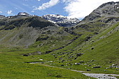 p1120580.jpg
