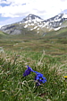 p1120585.jpg