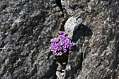 p1120618.jpg