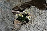p1120629.jpg