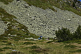 p1120631.jpg