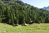 p1120632.jpg