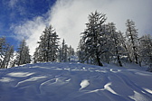 p1150905.jpg