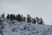 p1150954.jpg