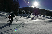 p1150969.jpg