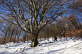 p1150801.jpg