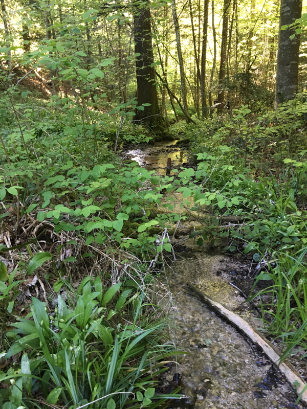 img_0616.jpg