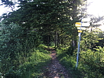 img_0709.jpg