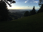 img_0711.jpg