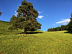 img_0715.jpg