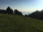 img_0718.jpg