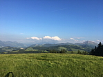 img_0719.jpg