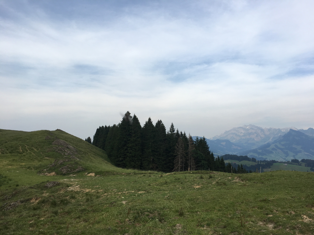 img_0735.jpg
