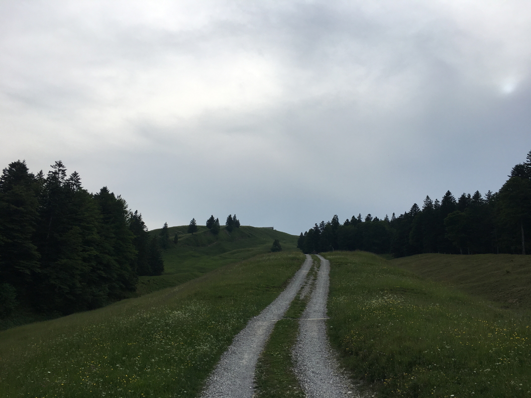 img_0736.jpg