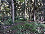 img_0726.jpg