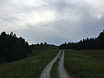 img_0736.jpg