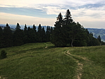 img_0742.jpg