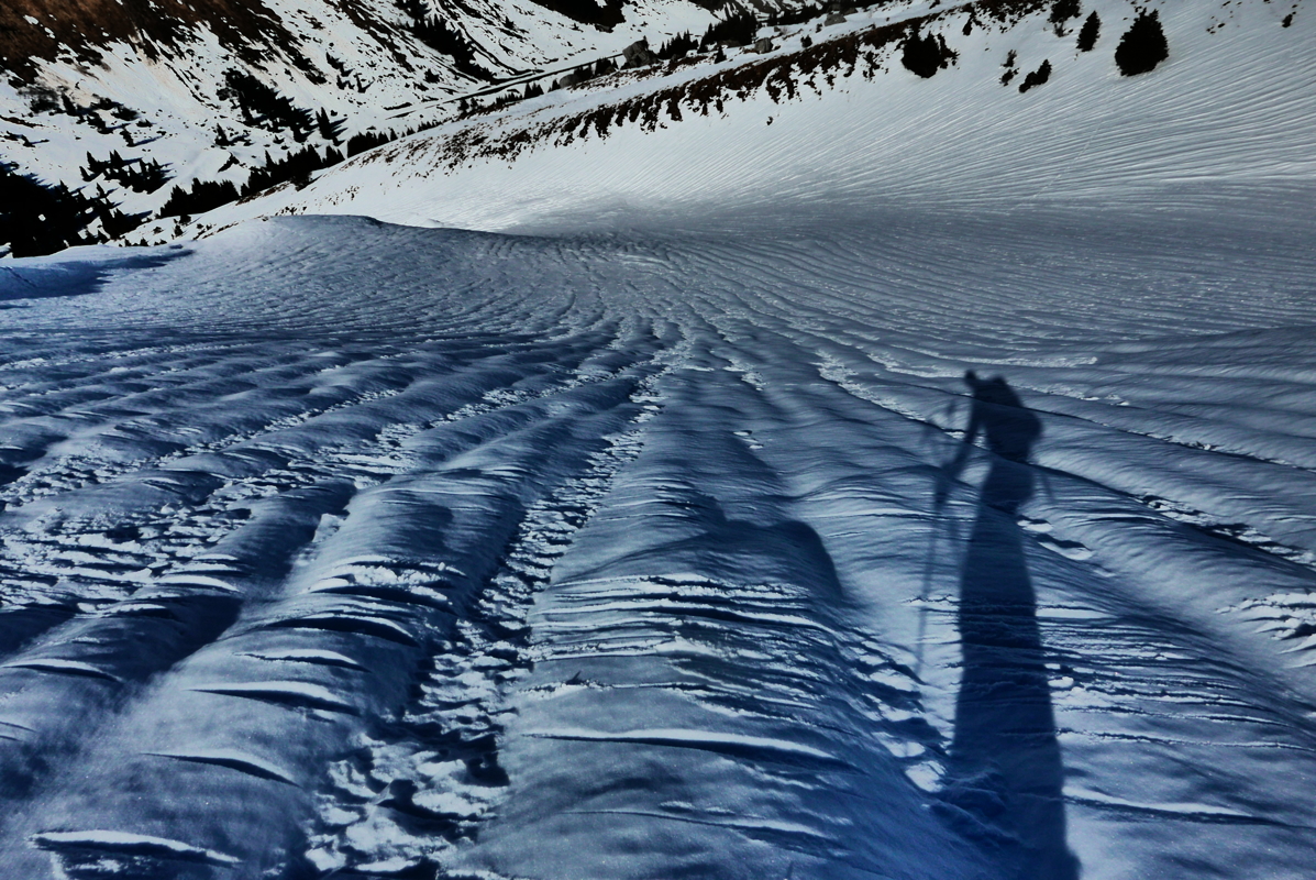 p1110884.jpg