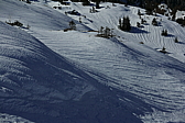 p1110886.jpg