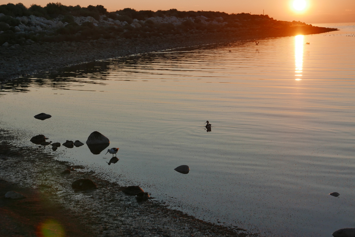 p1120916.jpg